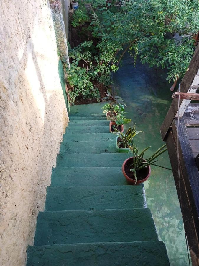 Hostel Bela Vista Salvador da Bahia Dış mekan fotoğraf